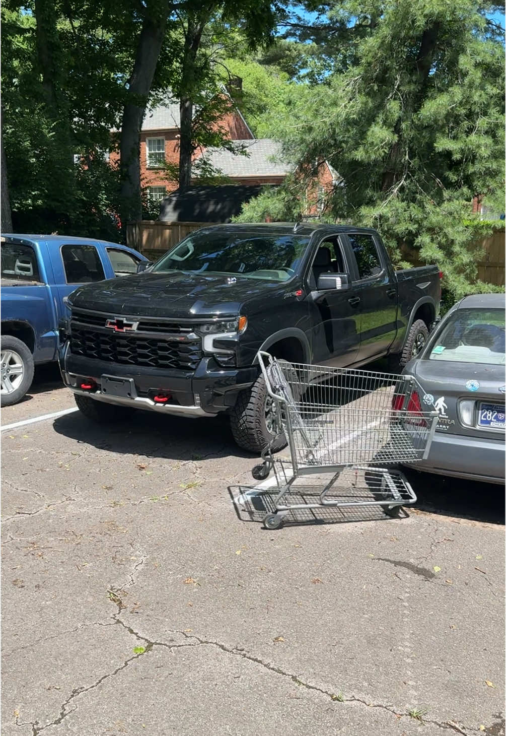 Genius shopping cart hack!🤯 #DIY #shopping #foodtiktok #cars #dog @RYOBI Tools USA 