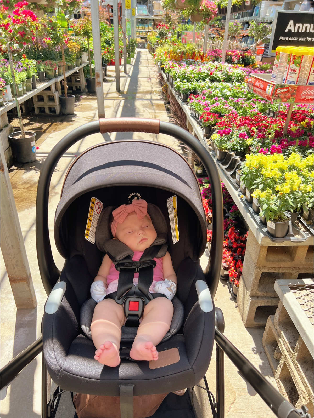 Quick flower run 🌷🌼🤍 #homedepot #flowers #babygirl #fyp @The Home Depot 