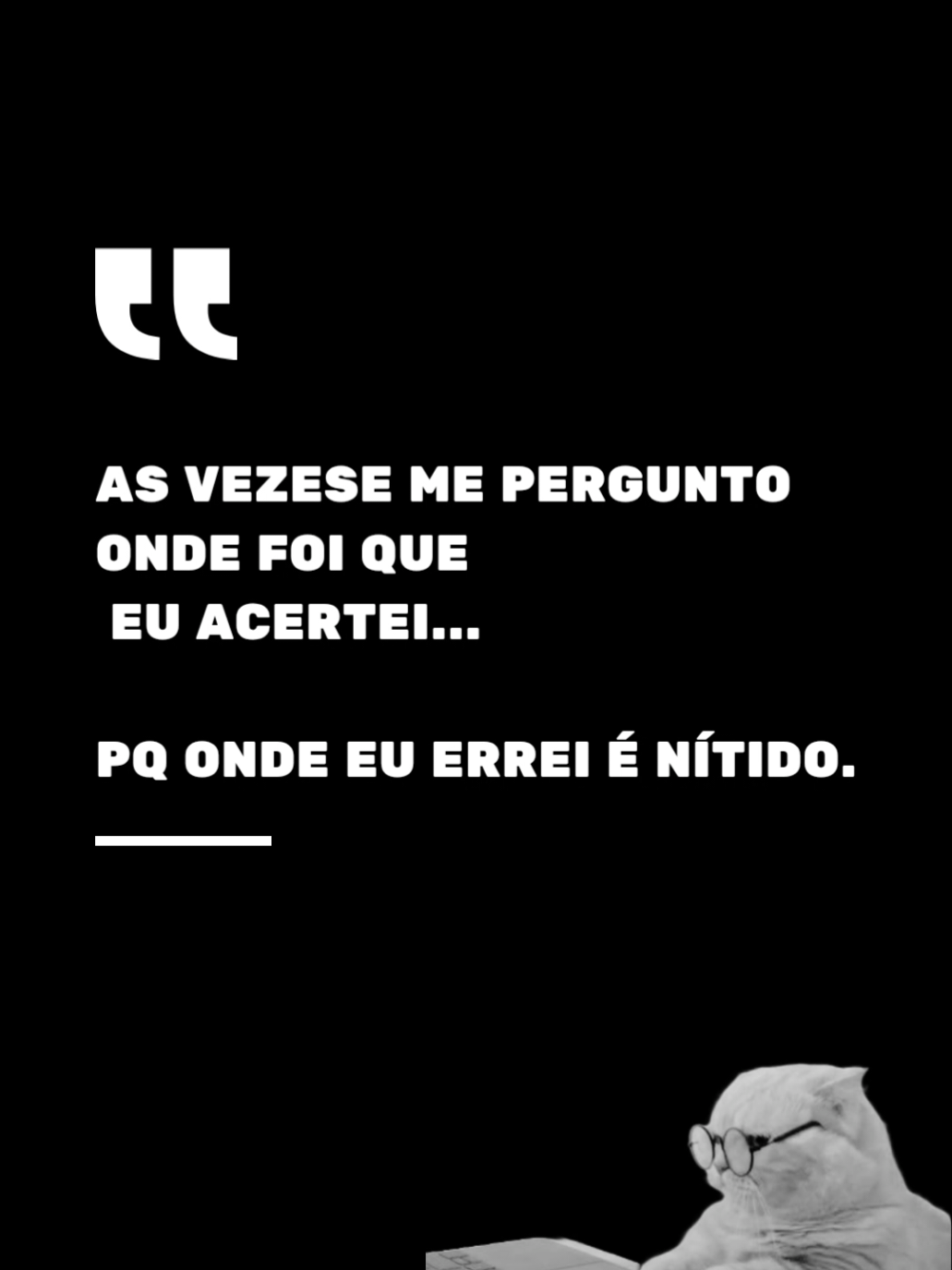 #humor #fyp #gato #foryoupage #pravoce 