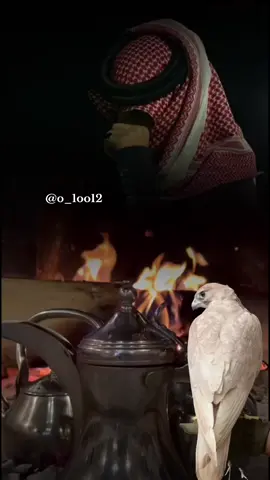 #أكسبلور_شعر_حكم_خواطر 