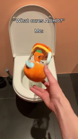 Why is my plush don pollo??
