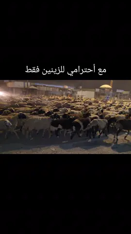 #الى اللوگيه لبعض المرشحين الفاسقين وشيوخ العشائر اللوگيه تركض وراهم انت عگالك تكول نعال