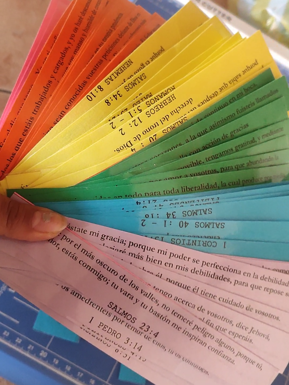 FRASCO BIBLICO  🫙❤️‍🔥🤍 Leelo cuando te sientas  #Frustrad@ 🩷. Ansios@ 🧡 Feliz 💛.      Preocupad@ 💜 Triste 🩵.    Agradecid@ 💚 por mayor y Menor, tambien pedidos especiales #frascobiblico #lapaz_bolivia🇧🇴 #detallesconamor #jovenescristianos #fyppppppppppppppppppppppp #videoviral #adulam #panderetistas #vidaencristo #Creaciones_GemayDael #2025 #Amor #iglesia #mensajebiblico #iglesiacristiana #adventistas #adventista #bolivia🇧🇴 #oruro_bolivia🇧🇴 envios a todos los departamentos #biblia #jovenesencristo 