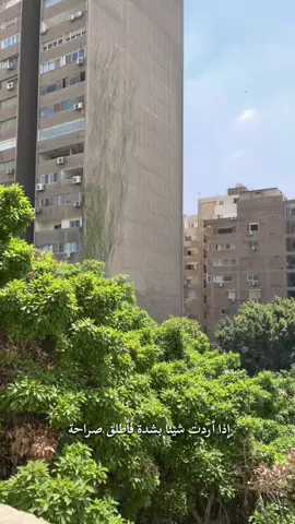 فإن عاد إليك فهو ملك لك إلي الابد.. . . . . . .#fyp #viral #viralvideo #explore #fyppppppppppppppppppppppp #CapCut #fypシ゚ 
