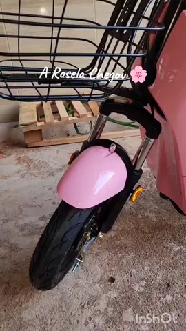 finalmente achei minha bicicleta 🥰🌸 #autopropelido #wehawk #bicicletaelectrica #scooter #bicicletas #autonomia @wehawk.oficial 