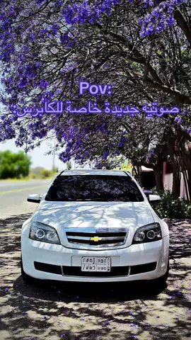 شكر خاص( ل الحيه😂) صراحة على ابداعة الي مو غريب عليه☹️🤍 #هييم8٤ #كابرس #غرنوق 