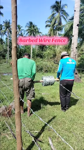 maganda ito pangbakod sa inyong lupa kapag kayo ay nagtitipid #barbedwire #fence #antitheft 