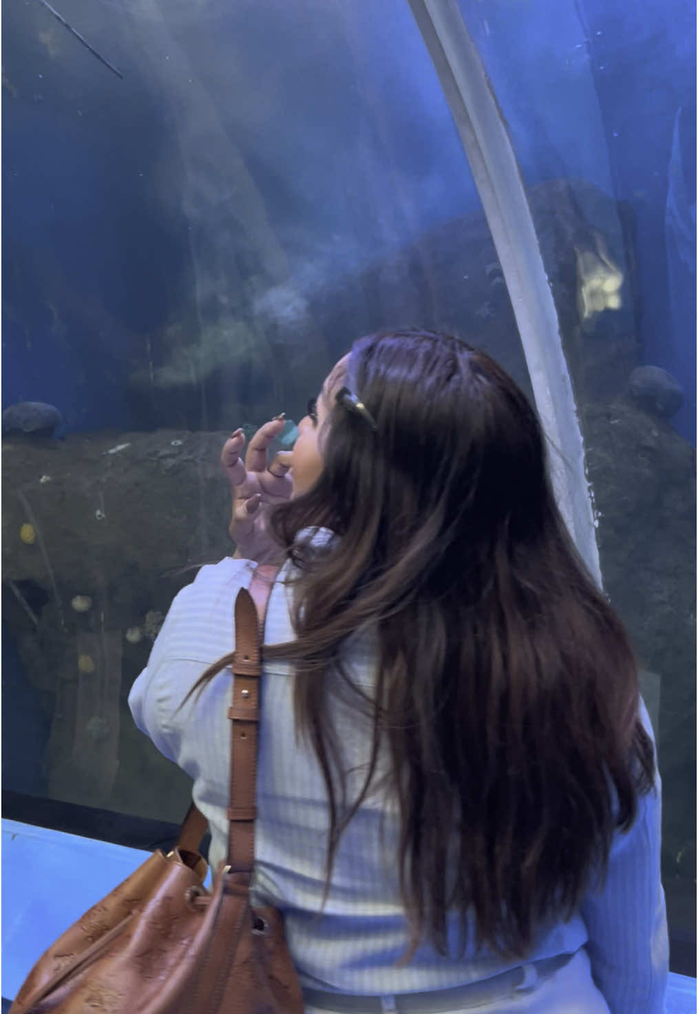 😭Ame el zoológico de Guadalajara 😭 cuando conseguí con mi amiga los boletos de Katy empecé a buscar lugares para visitar, recuerdo que decía que quería visitar el zoo pero en mi mente solo era una charlatana jajaja porque según yo, no me daría el tiempo. Gracias a Dios todo se acomodo y viví esta hermosa experiencia 💖 #zoologicos  #zoologicodeguadalajara 