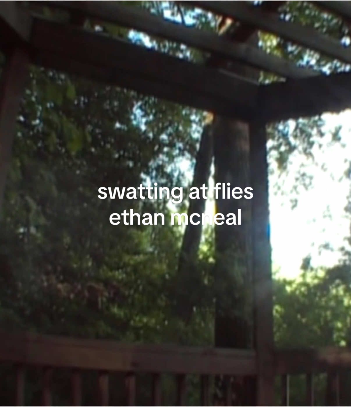 swatting at flies #originalmusic #guitar #acoustic #fingerstyle #ambient #nature #aah 