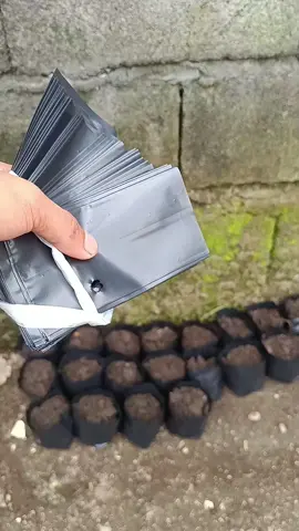 Plastic seedling bag #plasticbag #seedlings #forplants #seedling 