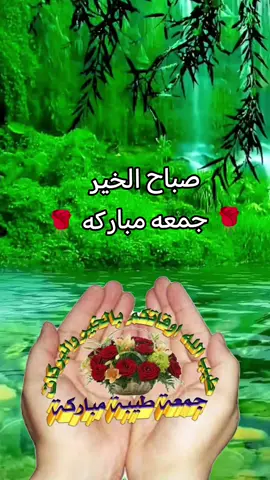 #صباح_الخير_والمحبه #جمعه_طيبه_بذكر_الله #🌹🌹 #🌹🌹 #🌹🌹 #🌹🌹 #🌹🌹 #🌹🌹 #🌹🌹 #🌹🌹 #🌹🌹 #🌹🌹 #🌹🌹 #صباح_الخير_والمحبه 
