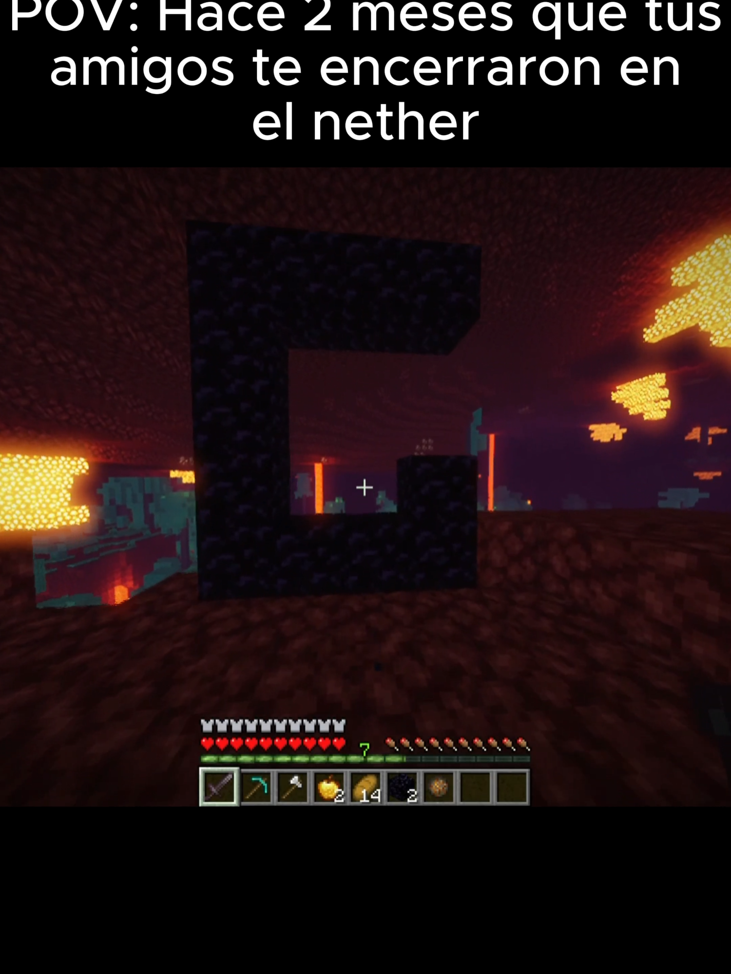 POV: TUS AMIGOS TE ENCIERRAN EN EL NETHER pero regresas... #Minecraft #minecraftmemes #minecraftbuilding #minecraftnether #nether