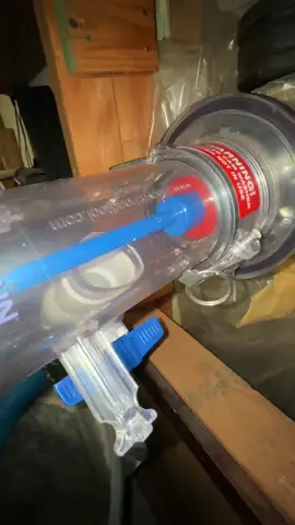 #asmr #draincleaning #satisfying 