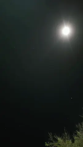 #قران_كريم #قران #قرآن_كريم_راحة_نفسية #قرآن_كريم #قرآن #قران_كريم_ارح_سمعك_وقلبك #القرآن_الكريم #القران_الكريم #القران_الكريم #القران #القران #القرآن #قران #قران_كريم #قران_كريم #قرآن_كريم_راحة_نفسية #قرآن_كريم_راحة_نفسية #قرآن_كريم #قرآن_كريم #قرآن #قرآن #قران_كريم_ارح_سمعك_وقلبك 