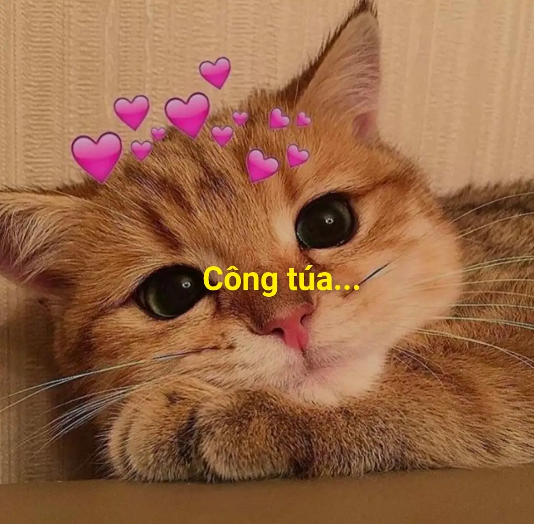 Công túa@Thanh Thoa nè #viral #xuhuong #fyp 