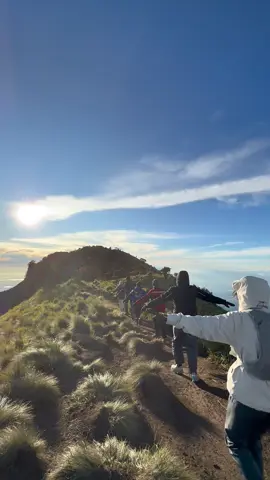 emang secandu ituu merbabu via suwanting #merbabuviasuwanting #sabanamerbabu #merbabu #merbabu3142mdpl #pendakigunung #pendakiindonesia #fyp #fypage #fypage 