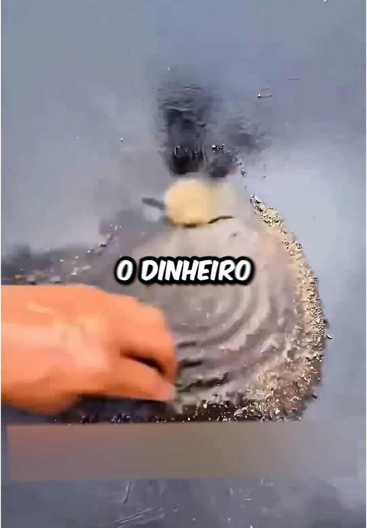 Siga e ganhe R$100 #leozada #curiosidades #fyp #viralizou 