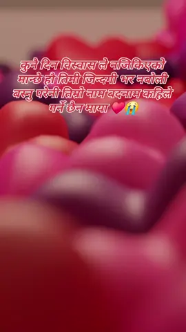 कुनै दिन विस्वास ले नजिकिएको  मान्छे हौ तिमी जिन्दगी भर नबोली  बस्नु परेनी तिम्रो नाम बदनाम कहिले  गर्ने छैन माया ♥️😭 #fyp #trending #viral #foryou #foryoupage #tiktok 