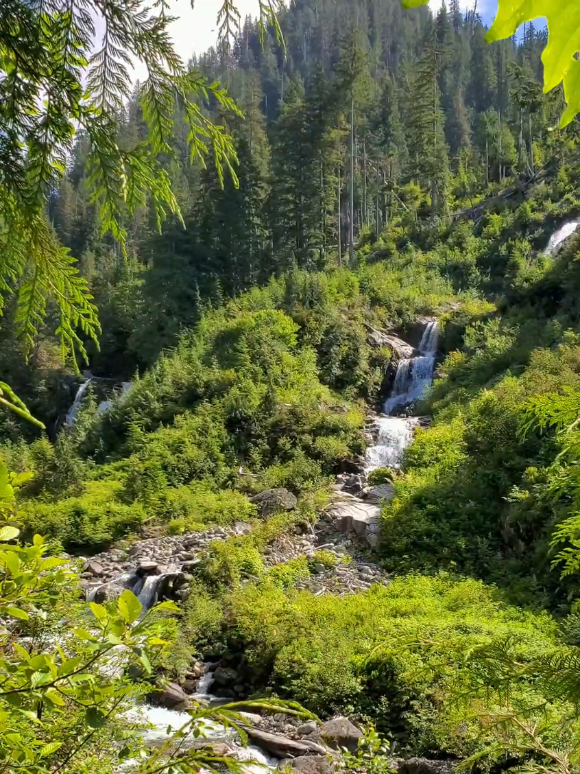 I think we found the lost Garden of Eden😲🌿✨️  No trail, no markers—just pure exploration!👣 After wading through waist-deep rapids and bushwhacking through thick brush and downed trees, we broke through to something truly magical: an undocumented double waterfall, fed by two separate creeks, hidden deep in the wilderness.🌲  The moment we stepped out of the chaos of the brush and saw this untouched beauty, it felt like discovering a secret world!😍 The sound of rushing water and the sight of this pristine beauty felt as if nature itself had rewarded us for the struggle.🥹 It’s moments like this that remind us why we chase the unknown.🙌  Living in Washington, home to the most abundant waterfalls in North America, we’re on a mission to find the ones no one talks about. Off-trail adventures are our passion!💞 We might always have scratches on our legs and mud on our boots, but these adventures make it all worth it!🤗  Follow us for more off-trail explorations and hidden gems!💎  Have you ever stumbled upon a treasure in nature that left you speechless?💚 Share with your friends for some adventure inspiration!✨️🥰 #hidden #undocumented #waterfall #hiddengems #chasingwaterfalls #washington #washingtonstate #pnwwonderland #adventurecouple #adventure #adventureseeker #pnw #pacificnorthwest #inspiration 