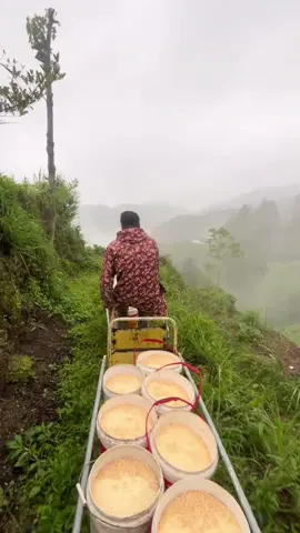 EL MONORRIEL QUE ALIMENTA GALLINAS EN LA CIMA DEL MUNDO En lo profundo de las montañas chinas, un monorriel transporta alimento cada día hacia una granja vertical. Un trayecto extremo… para mantener viva una tradición avícola. #granjaavícola #monorrielrural #crianzademontaña #gallinaslibres #agriculturachina #alimentaciónanimal