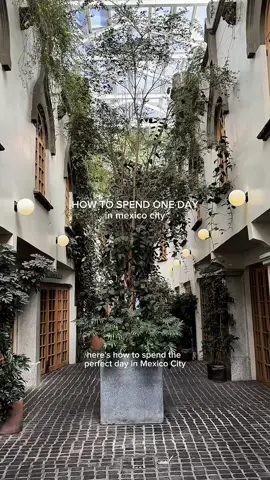 the perfect day in mexico city 🌿 #mexicocity #visitmexico #mexicotravel #cdmx #travelitinerary #travelcreator #mexicocityguide 
