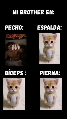 My brother 🫩 @TOGI ##GymTok#fypgym ##Fitness#shanestoffer#bodybuilding #memesgym #humor#gymbros#gymmemes#viral