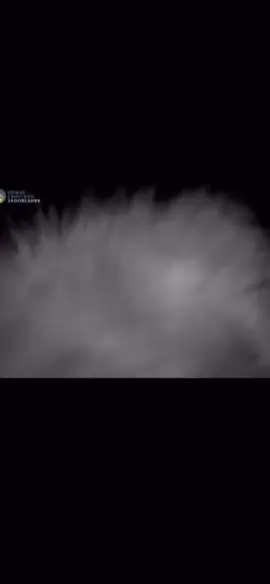 Raccoon dog laugh😃👍