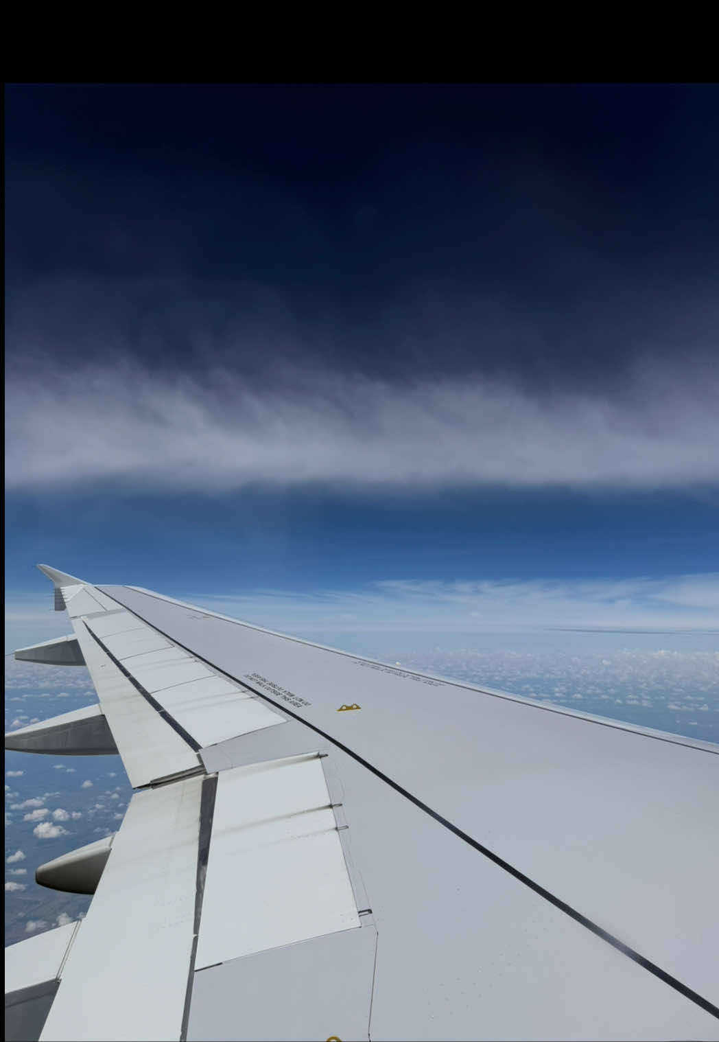 A little glimpse into my life…just a liddle 🤏🏾 #DC #WashingtonDC #MiniVlog #Flowers #Flights #Travel 