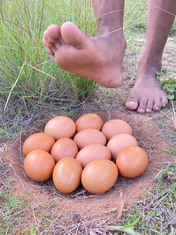 Survival Skills: SMART idea and USEFUL #bushcraft #camping #Outdoors #useful 