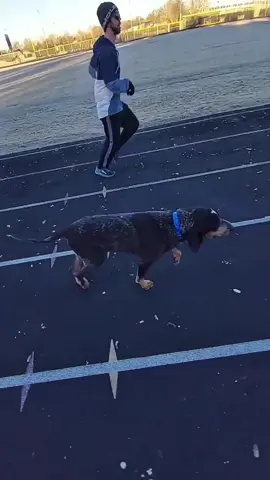 Funny sound 🐶😂#dog #funny #funnyanimals #funnypets #animals #dogsoftiktok #pet #foryou #fyp #fypシ 