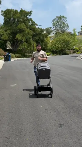 No babies were harmed in the making of this..🤣#moving #walk #funny 