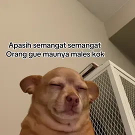 Lu aje sendiri sono #semangat 