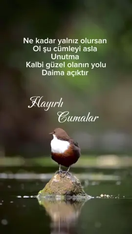 #hayırlıcumalar🌹🌺🌺🌷💖 #cumanız_mübarek_olsun🌹🕋🌹🕌🤲 #keşfed 
