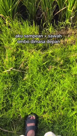 🤭#masukberanda #viralvideo #fypシ゚ #masukberandafyp 