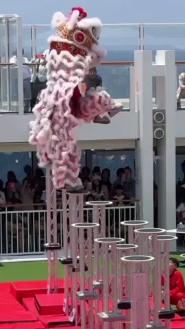 🇸🇬 2025 第五届 天富宫白龙王国际龙狮公开赛 🤔🤔🤔风那么大 这是场掉下比赛  🤔🤔🤔The wind is so strong This is a falling game #马来西亚 #malaysia #malaysiatiktok #liondance #mualan #tariansinga #barongsai #醒獅 #醒狮 #舞狮 #liondancer #liondanceperformance #liondancecompetition #liondancelife #高桩 #高桩舞狮 #高桩舞狮🦁 #高桩舞狮表演 #舞狮生活 #舞狮比赛 #舞狮表演 #舞狮运动 #liondancemalaysia #liondance2025 #múalan #múalan2025 #lansurong #lansurong2025 #liondancing   #liondancedrum #liondancedruming  #barongsaitiktok #barongsai2025 #传统 #传统文化 #traditional  #台上一分钟台下十年功 #respect #新加坡 #singapore #singaporetiktok #singaporetiktokers🇸🇬 #liondancesingapore 