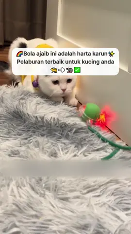 Pet Rolling Ball: Bermain sepanjang hari tanpa merasa bosan#fyp #kucing #cat #toys #fyppppppppppppppppppppppp
