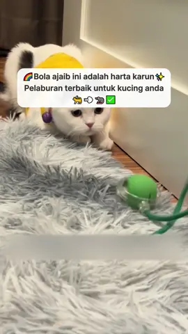 Pet Rolling Ball: Bermain sepanjang hari tanpa merasa bosan