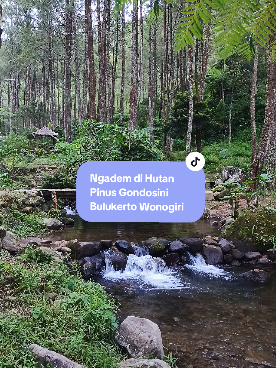 #wonogiri #wonogiriviews #wonogiri24jam #fyp #fypシ゚viral #gondosini #conto #bulukerto 