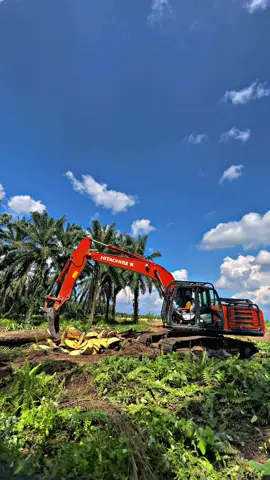 ⚡️⚡️#hitachi#replanting#210#excavator 