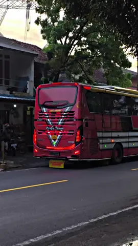 Braga trans jhonson #huntingbus📸 #huntingbus #adiputro #bragatrans #bragatransjhonson 
