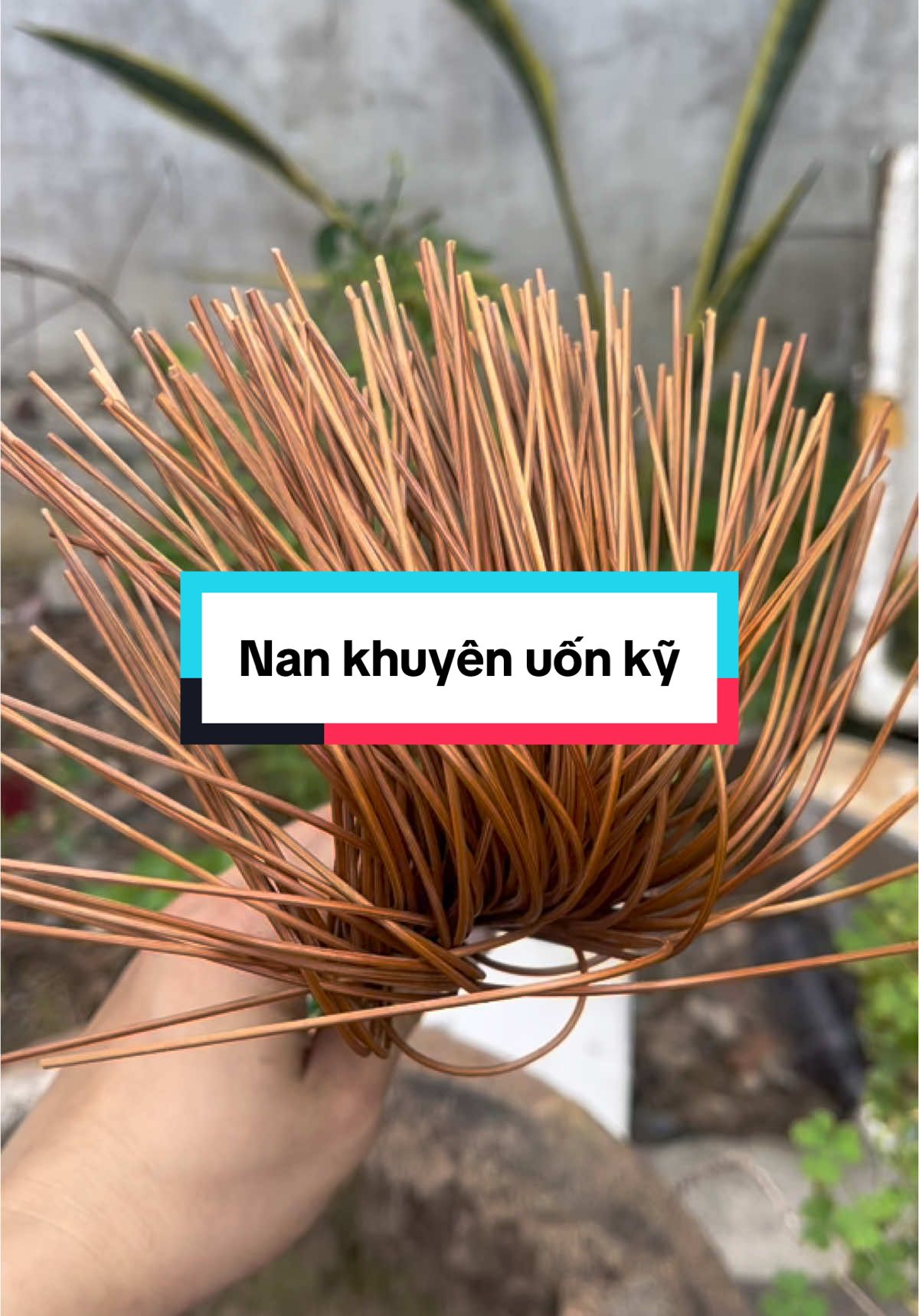 Nan khuyên uốn kỹ #longchimnhalam #longkhuyen  #nanlongchim #thinhhanh 