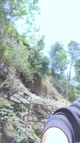 #creatorsearchinsights 