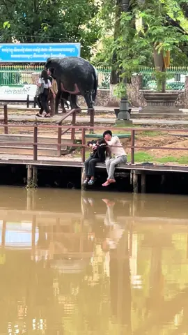 😒កំសត់ #ចៅមាណព 