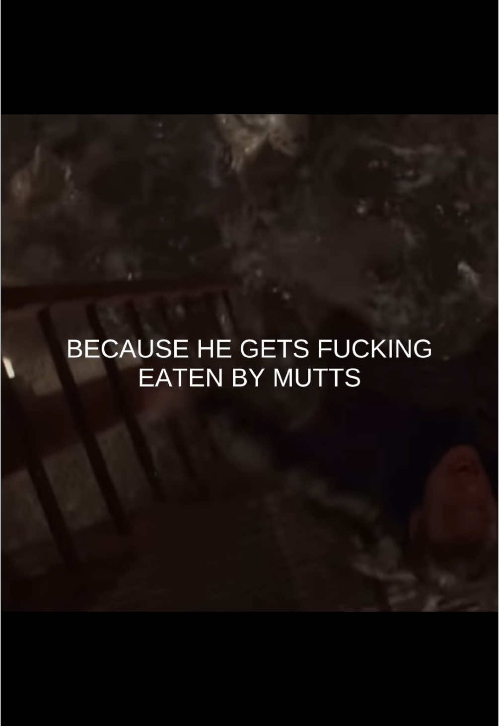 This was funnier in my head #funny #fyp #foryoupage #hungergames #finnickodair #finnick #mutts #finnicksdeath #laugh #lol 