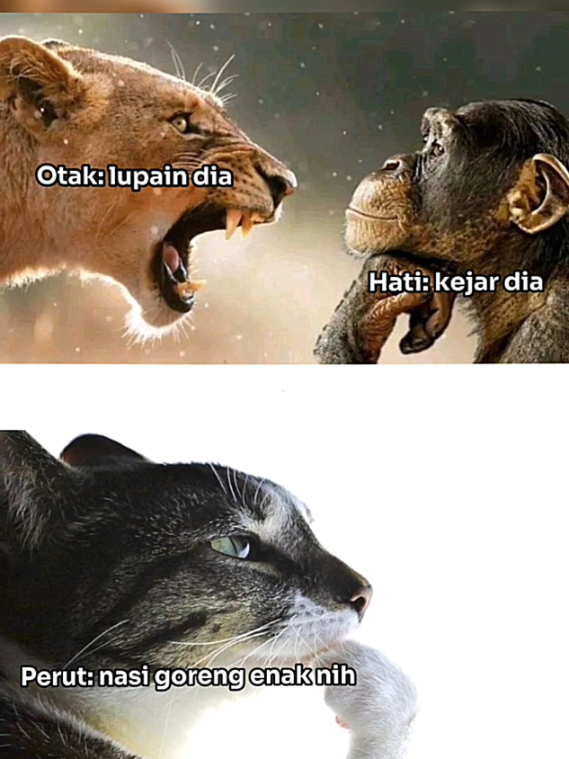 #jj #jjresep #jjelitis #nasigoreng 