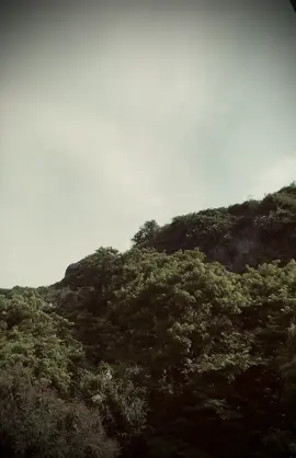 Phần 5 : 还鱼于水，还船于岸，仿佛从未有过约定，一切都只是巧合...! 