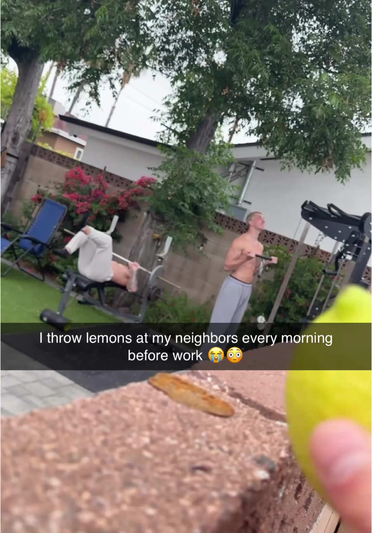 I mess with my neighbors every morning 😩 @Dawson💚 