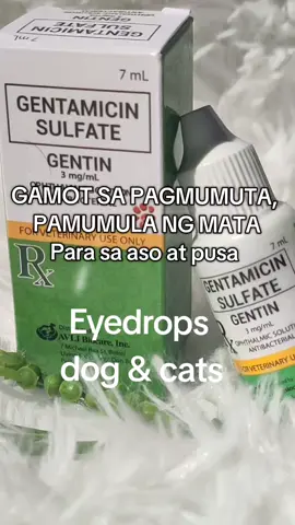 Gentimicin Sulfate GENTIN #DOG #CATS #treatment 