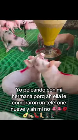 #videoviral #tiktok #hazloviraltiktok #tiktokviral #viral #comparte #humorpotaxie #hazmeviral #potaxies🥑 #dalelikeycomparte🤩🤩🤩 #viralvideo #potaxiesdecorazon #superviral #humortiktok 