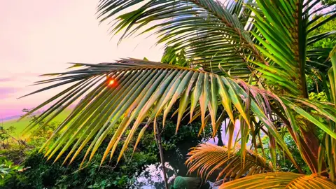 Làm vợ anh nha #chill #binhyen #tamtrang #hoanghon #63tiengiang #xuhuong #lofi #mientay 